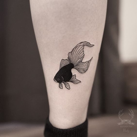 12 BEAUTIFUL FISH TATTOO DESIGNS FOR MEN AND WOMEN