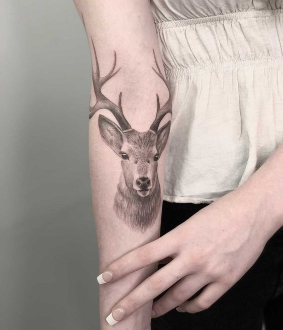 The 20 best deer tattoo designs