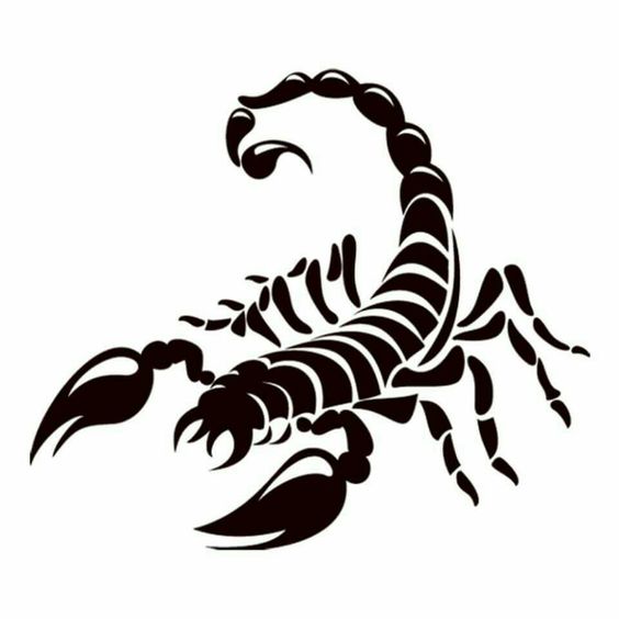 25 INTERESTING SCORPION TATTOOS