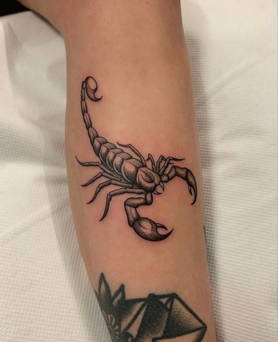 25 INTERESTING SCORPION TATTOOS