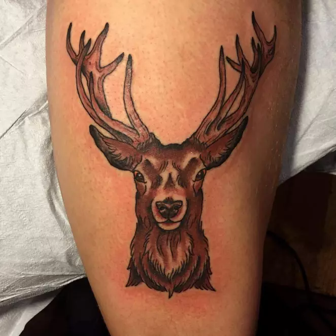 A selection of deer tattoos for women