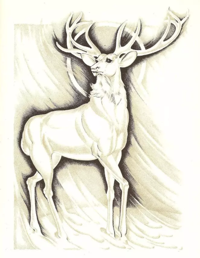 The 20 best deer tattoo designs