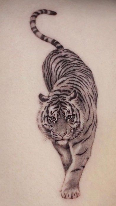 TIGER TATTOO IDEAS THAT CAN INSPIRE YOU