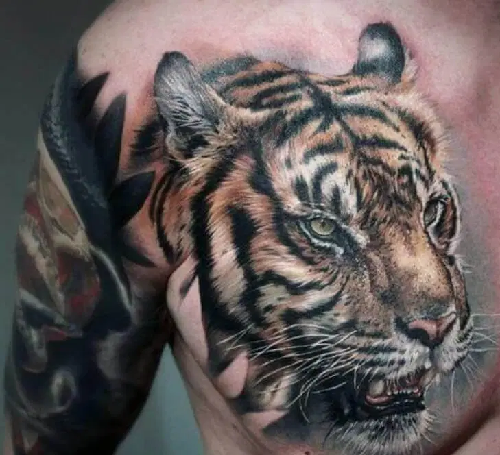 What does the tiger tattoo mean? The true meaning of the tiger tattoo