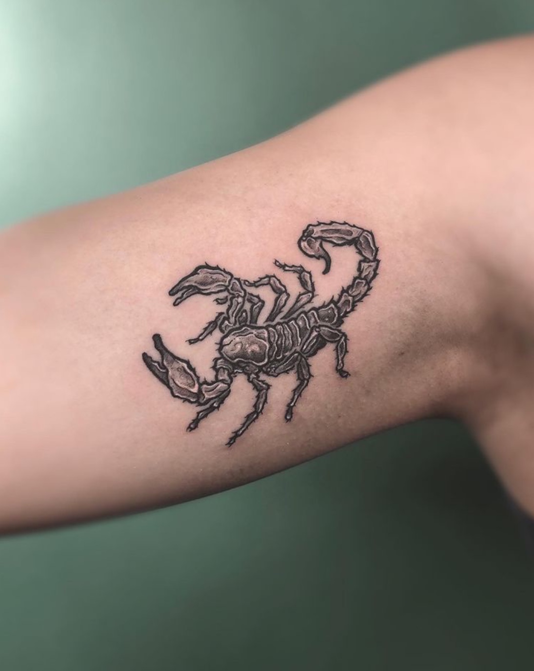 20+ scorpion tattoo design ideas