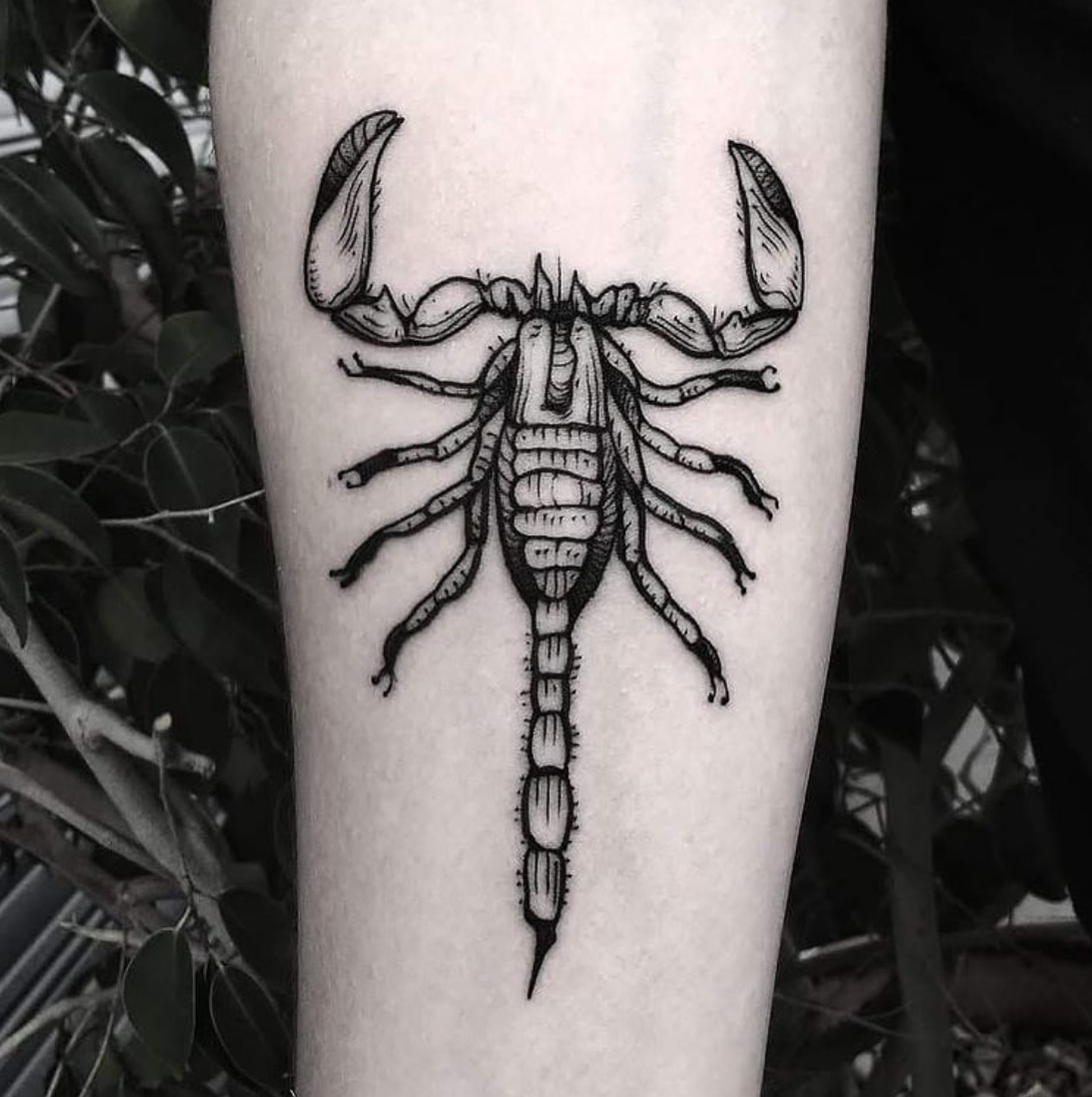 20+ scorpion tattoo design ideas