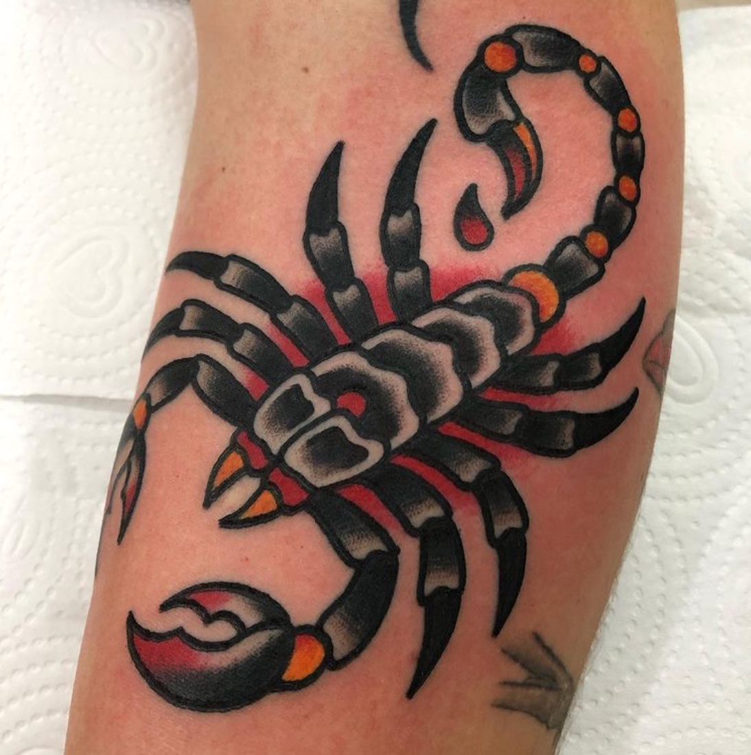 20+ scorpion tattoo design ideas