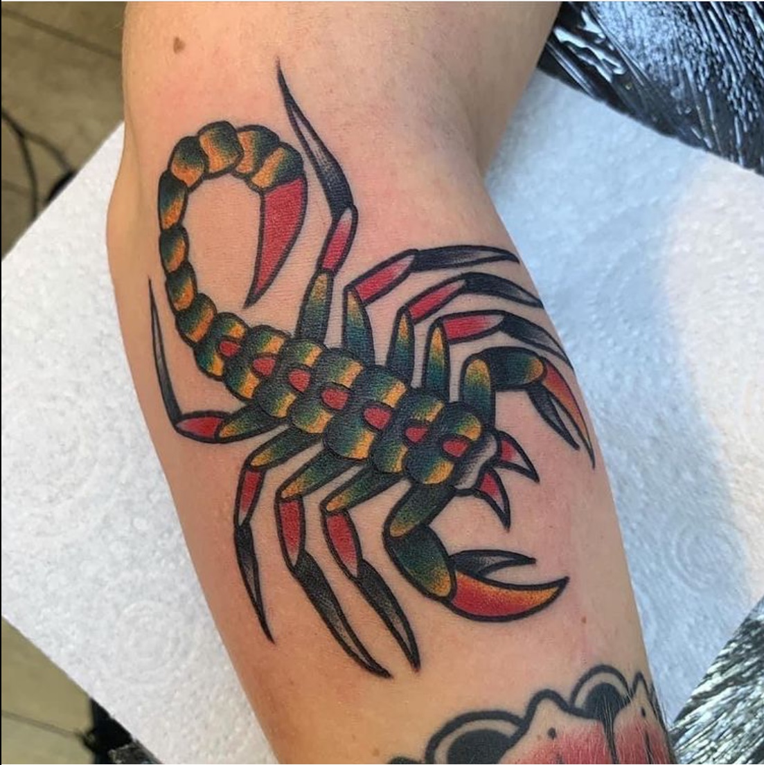 20+ scorpion tattoo design ideas