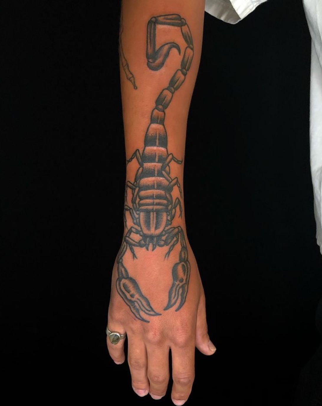 20+ scorpion tattoo design ideas