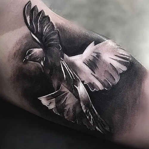 Birds tattooed on the arm