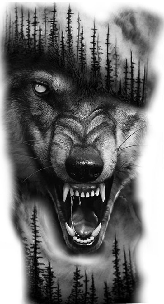 Sketch of a wolf tattoo realism