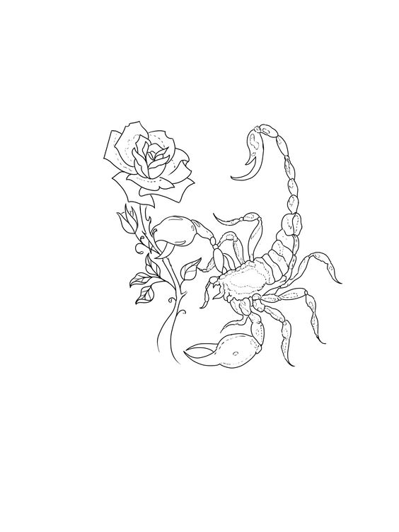 Sketch of the zodiac sign of Scorpio