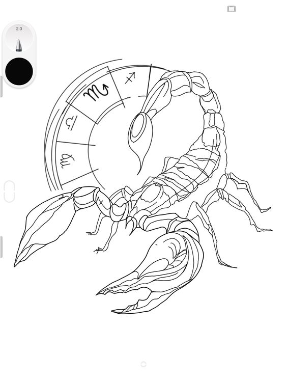 Sketch of the zodiac sign of Scorpio