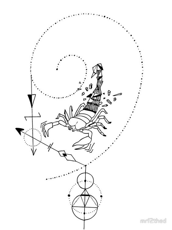 Sketch of the zodiac sign of Scorpio