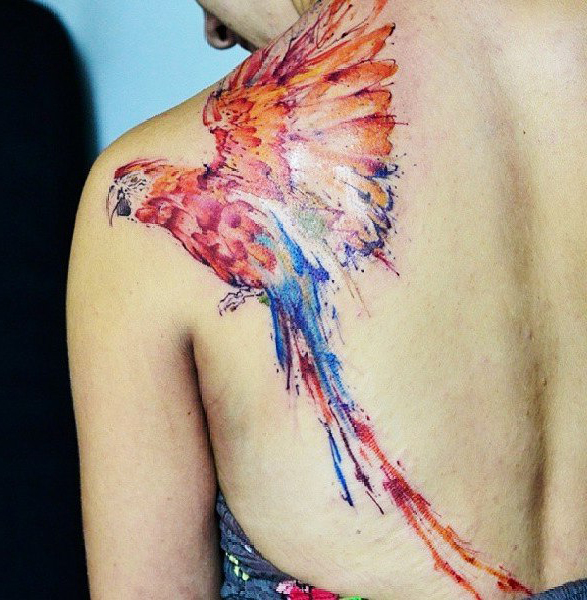 Colorful parrot tattoo on the scapula