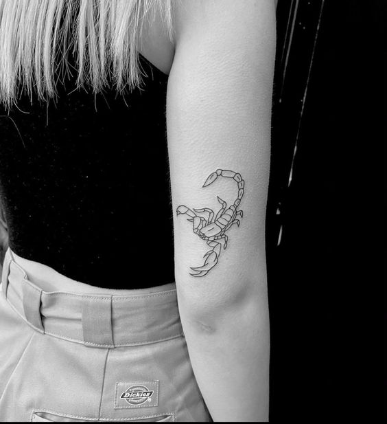 20 cool ideas for the zodiac sign Scorpio