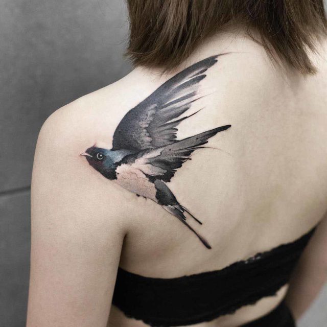 Swallow tattoo on shoulder blade