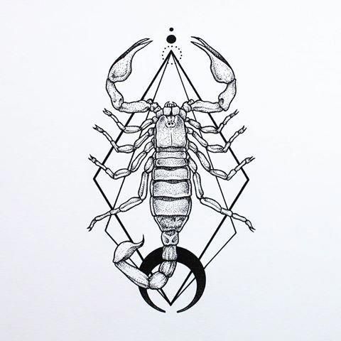 Tattoo sketches of a scorpion