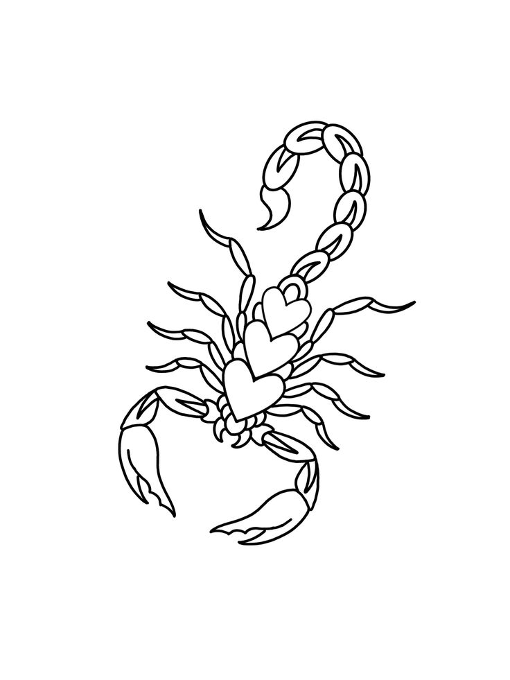 Tattoo sketches of a scorpion