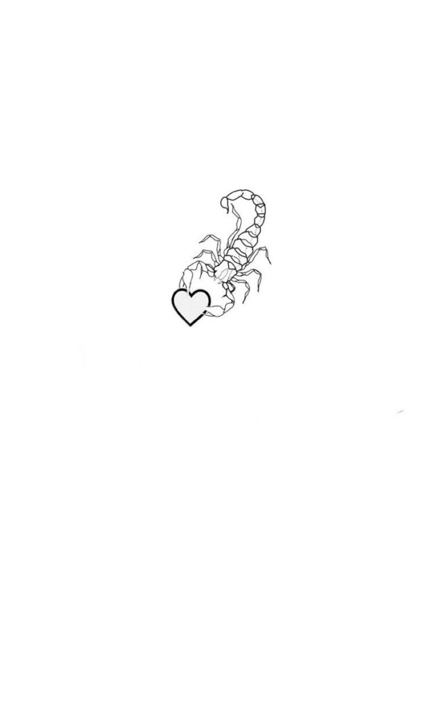 Tattoo sketches of a scorpion