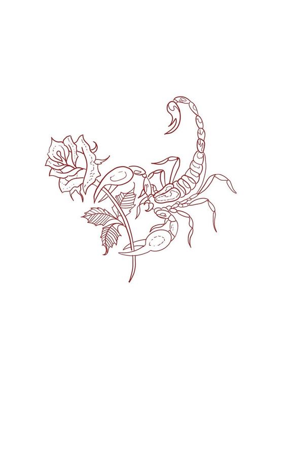 Sketches of a scorpion tattoo with a rose