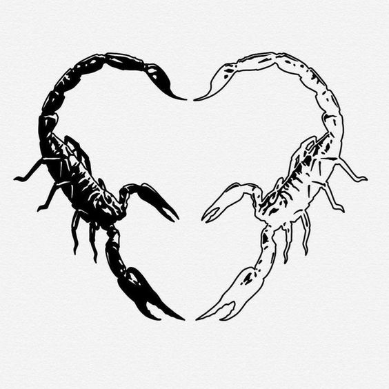 Tattoo sketches of a scorpion