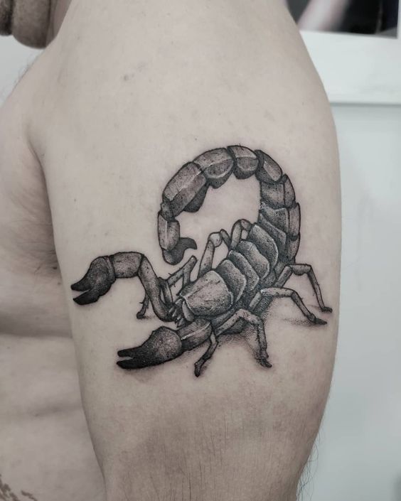 65 fashionable designs and ideas for tattoos with the sign of the zodiac Scorpio