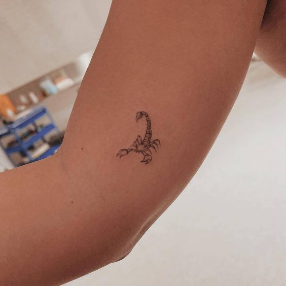 Tattoo of the zodiac sign of a scorpion on the forearm for women