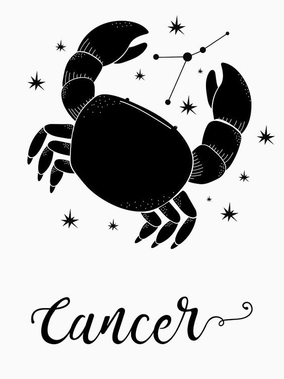 Sketch of the zodiac sign cancer