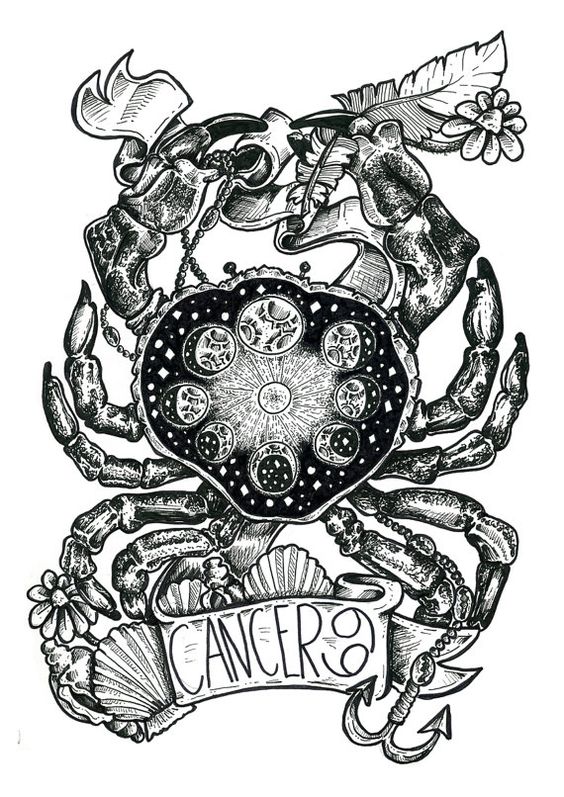 Sketch of the zodiac sign cancer