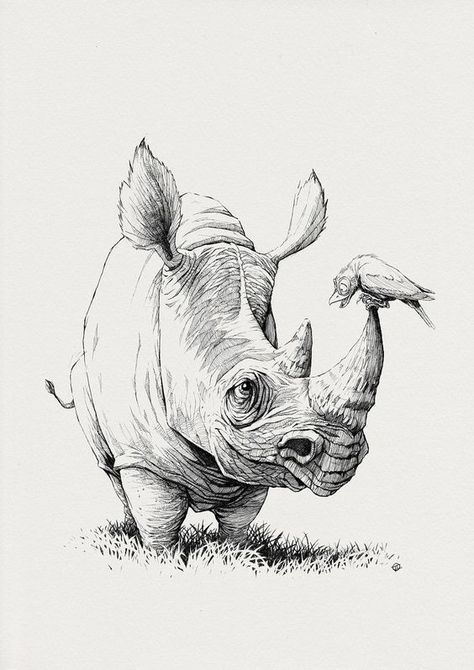 Sketch of a rhinoceros tattoo