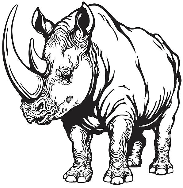 Sketch of a rhinoceros tattoo