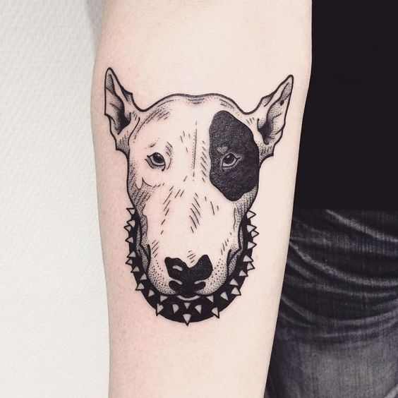 Bull Terrier tattoos on the forearm for men