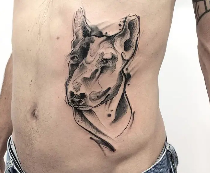 Bull terrier tattoos on the stomach for men