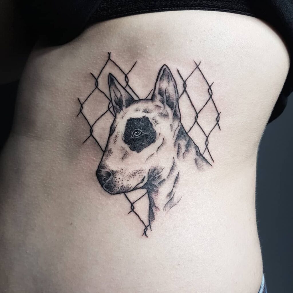 Tattoo of a bull terrier on the stomach for women