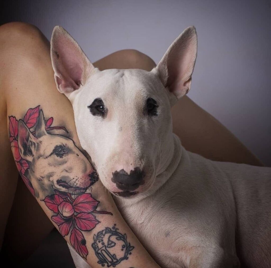 Bull Terrier tattoo on the shin for women