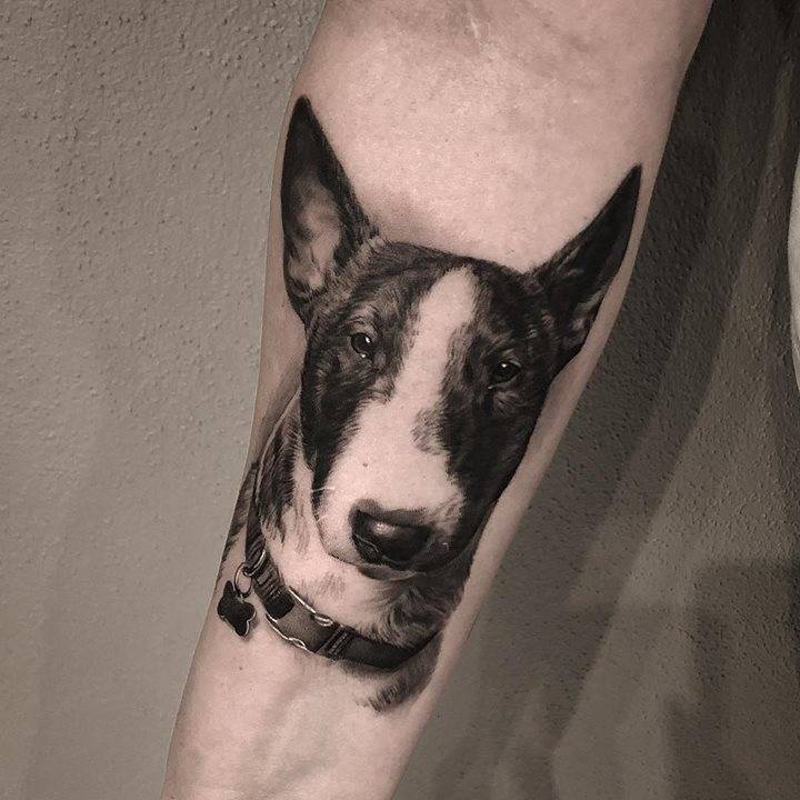 Bull Terrier tattoos on the forearm for men