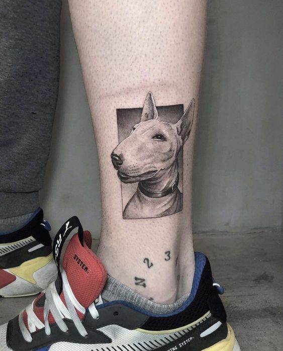 Bull Terrier tattoos on the shin for men