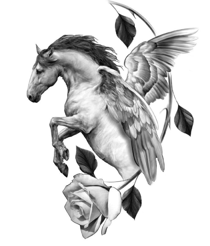 Pegasus tattoo sketch