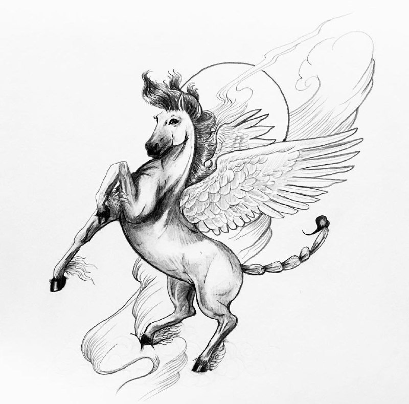 Pegasus tattoo sketch