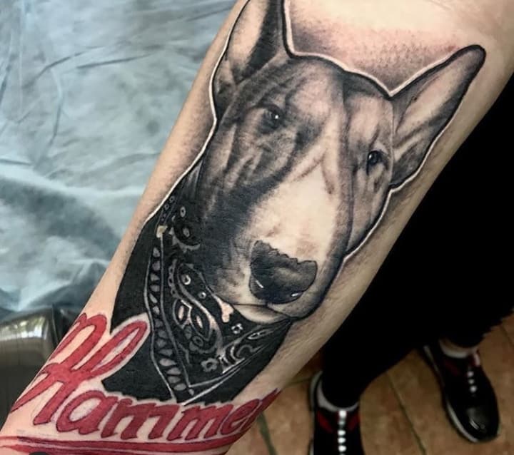 Bull Terrier tattoo on the arm for women