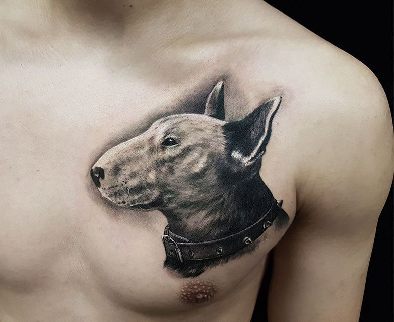 Bull Terrier tattoo on the chest for men