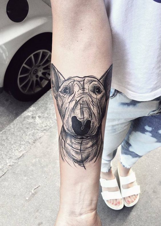 Bull Terrier tattoo on forearm for women