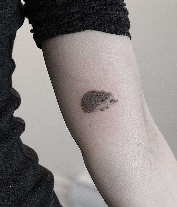 Tattoo of a hedgehog on the forearm for women