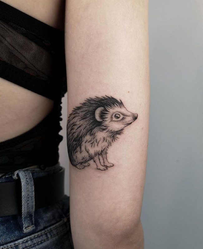 Tattoo of a hedgehog on the shoulder for women