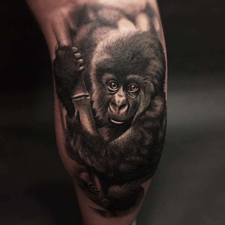 Monkey tattoo on the calf for men