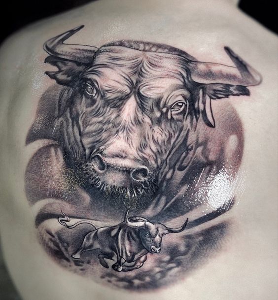 Bull tattoo on the back for men