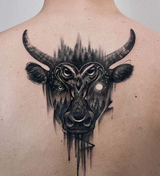 Bull tattoo on the back for men