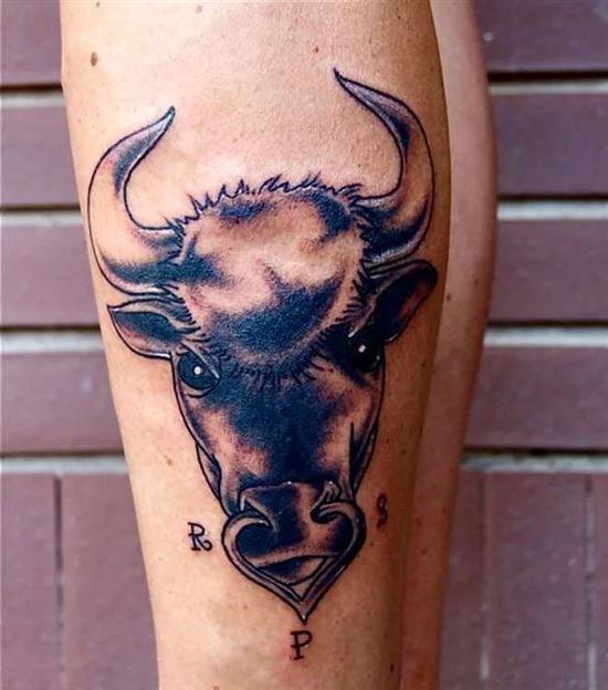 Bull tattoo on the shin for men