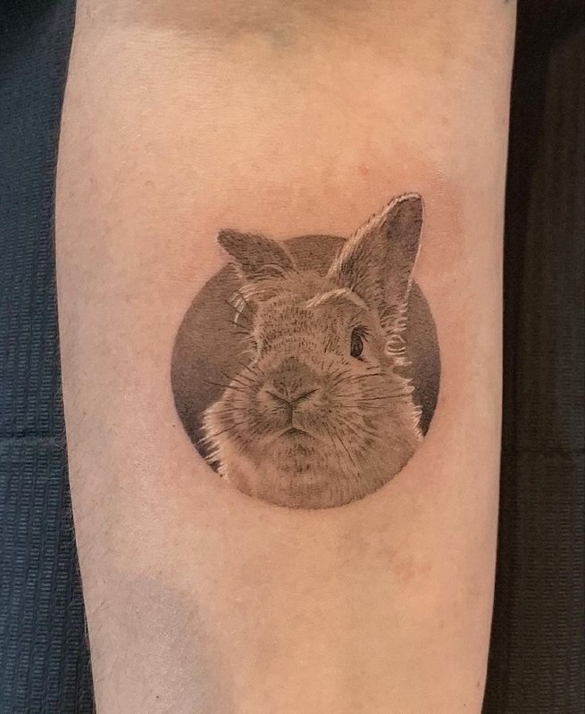 Tattoo of a hare (rabbit) on the forearm for women